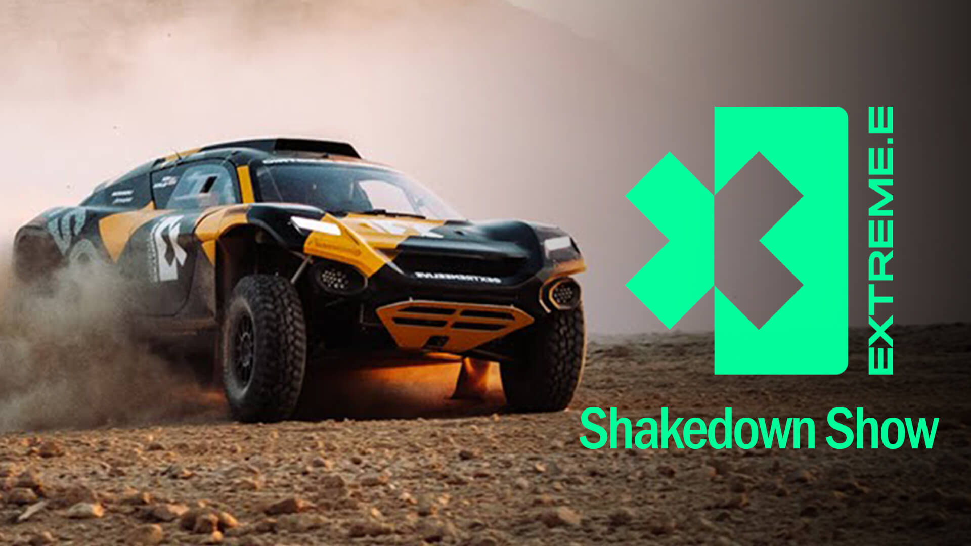 SSC__Channel_Bugs_3HD_AW-01.png